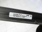 Audi A6 C8 4A 18-23 Kombi Türleiste Links Hinten