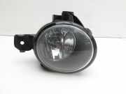 BMW X3 E83 18d LCI 08-11 Nebelscheinwerfer Rechts orig