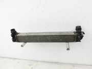 Renault Megane III CC 10-16 TCE 1,2 97KW Ladeluftkühler Kühler