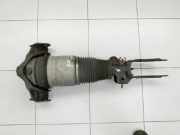 Porsche Cayenne 9PA 955 02-07 Stossdämpfer Federbein Luftfahwerk Luftfederung Vorne Links