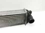 Ford Tourneo Connect 09-13 2,0d 75KW Ladeluftkühler Kühler