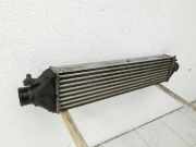 Fiat Doblo II 263 10-15 MJet 1,3d 66KW Ladeluftkühler Kühler