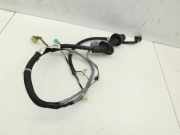 Honda CR-V II RD 01-06 Geländewagen Kabelbaum für Tür und Fensterheber Links Hinten