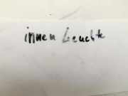 Galaxy III CK 15-19 Platine LED Leuchtmittel für Innenleuchte Innenraumleuchte C20HDTX