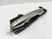 Renault Scenic IV J9 16-20 Türgriff Griff aussen Links Hinten
