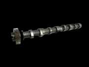 VW Golf Plus 5M 08-14 TDI 1,6 77KW CAYC Nockenwelle Einlass