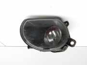 Audi A8 D3 4E qu 02-05 Nebelscheinwerfer Links orig.