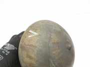 Citroen C6 05-11 Druckspeicher Federsteifigkeitsregler für Achse Vorne