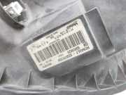 Opel Trafic Vivaro F7 06-14 Halogen Scheinwerfer Frontscheinwerfer Links