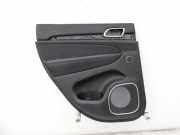Jeep Grand Cherokee WK2 13-17 Türverkleidung Türpappe Leder Links Hinten