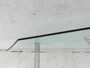 BMW G21 320dx 3er 19-22 KombiSeitenscheibe LVK Fenster Türscheibe Links Vorne