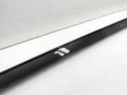 BMW F45 218d 14-18 Leiste f?r T?r Scheibendichtung Links Hinten