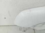 Ford Connect 06-09 Kotflügel Links Vorne