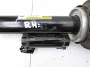 Tesla Model S Palladium 21-25 Federbein Luftfahrwerk Stossdämpfer Hinten Rechts