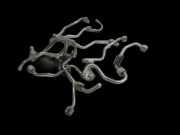 BMW F01 750iX 08-12 4,4i 300KW Hochdruck Leitung Kraftstoffleitung