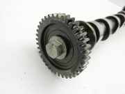 Renault Koleos HY 07-11 dCi 2,0 110KW M9R615 Nockenwelle Auslass