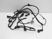 Opel Insignia A G09 09-13 Kabelbaum mit PDC Sensoren Einparkhilfe Vorne