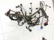 Land Range Rover L322 05-09 Kabelbaum für Motor