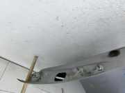 Renault Zoe BFM 12-19 Tür Fahrertür Links Vorne