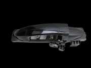 Ford EcoSport 12-22 Türgriff Griff aussen Rechts Hinten