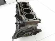 Renault Scenic III JZ 09-12 dCi 1,9 96KW F9Q870 Motorblock für Motor