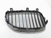 BMW 5er 530XD E61 03-07 Frontgrill Kühlergrill Niere Grill Links
