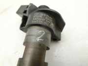 VW Phaeton 3D GP1 07-10 TDI 3,0 171KW Injektor Einspritzdüse Zyl.2