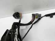 Ford Fiesta VII 17-21 5TKabelbaum f?r T?r und Fensterheber Links Hinten