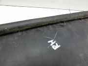 BMW X3 F25 10-14 Türleiste Rechts Hinten Aussen Beplankung