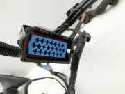 Jaguar X100 XKR XK8 04-06 Coupe RHD Kabelbaum T?r und Fensterheber Links Vorne