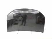 Dacia Logan II 12-18 Motorhaube Frontklappe Haube