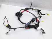 Hyundai IX55 09-11 Kabelbaum Tür und Fensterheber Links Vorne