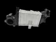 Ford Focus IV 4 HP 18-22 TDCi 1,5 74KW Ladeluftkühler Kühler Zwischenkühler Wärmetauscher