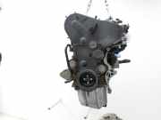 Audi A4 8W B9 19-24 TDI 2,0 140KW DETA Motor Triebwerk