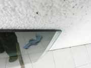 Mercedes CLS 250 C218 11-14 Kombi Seitenscheibe LHK für Tür Fenster Scheibe Links Hinten