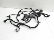 Ford EcoSport 12-22 Kabelbaum für Tür und Fensterheber Rechts Vorne