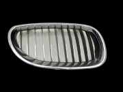 BMW E61 LCI 530d 07-10 Frontgrill Kühlergrill Rechts