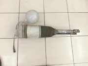 VW Phaeton 3D 01-07 Stossdämpfer Federbein Luftfahrwerk Hinten Links