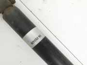 VW Passat B8 3G 14-19 Lim Stossdämpfer Links Hinten