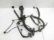 Renault Megane III 08-12 Coupe Kabelbaum Tür und Fensterheber Links Vorne