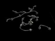 Mercedes C218 CLS 350 11-14 CDI 3,0 190KW Hochdruck Leitung Kraftstoffleitung