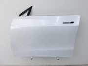 Tesla Model Y LR 20-25 5YJY Tür Fahrertür Links Vorne