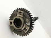 BMW X3 E83 18d LCI 08-11 2,0d 105KW N47 N47D20C Nockenwelle Einlass