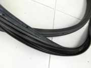 Ford Tourneo Connect 18-22 Dichtung für Tür Links Hinten