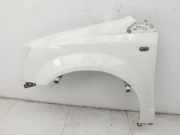 Chrysler Grand Voyager V 08-10 Kotflügel Links Vorne