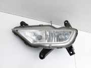 Hyundai I20 GB 16-21 Nebelscheinwerfer Rechts orig.