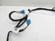 Mercedes C205 C400 15-18 Coupe Kabelbaum Tür Vorne Links Ambientebeleuchtung