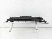 Mini One R56 LCI 13-16 Lufteinlassgitter Stoßstange Mitte Chrom Leiste