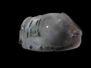 Mercedes E320 W211 S211 03-08 Kotflügel Verkleidung Radhausschale Links Vorne Vorderstück