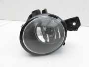 BMW X5 35d E70 06-10 Nebelscheinwerfer Links orig.